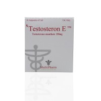 Testosterone E 250 mg Multi Pharm